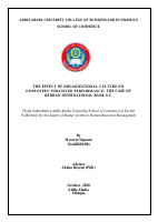 Meseret Nigussie.pdf